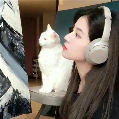 我的老婆是只猫